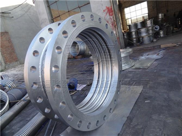 913564.jpg 10137296.jpg